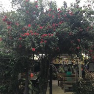 หน้าร้าน ครัวลูกเงาะ  สลกบาตร