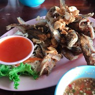 เมนูของร้าน ครัวมัจฉา