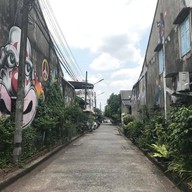 Yala bird city street art