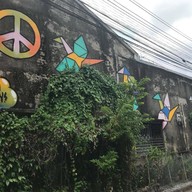 Yala bird city street art