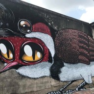 Yala bird city street art