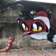Yala bird city street art