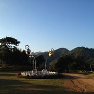 ดอยแม่สลอง