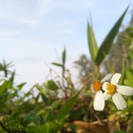 เขาพะเนินทุ่ง