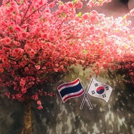 KOREA B.B.Q สาขา1 คลอง3