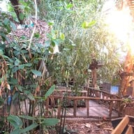 สวนอาหารบ้านลุงคอง