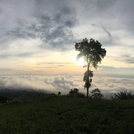 บ้านกลางแสงดาว