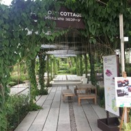 โคโรฟิลด์