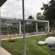 โคโรฟิลด์