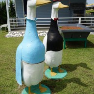 บรรยากาศ Danus' Hobby Farm