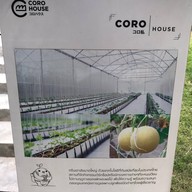 โคโรฟิลด์