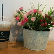 เมนูของร้าน PACAMARA โรงพยาบาลจุฬาฯ สภากาชาดไทย (KCMH)