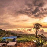 บ้านกลางแสงดาว