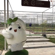 โคโรฟิลด์