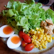 สลัดผักออร์แกนิค (ไข่ต้ม) น้ำสลัดข้าวกล้องกระชายดำ