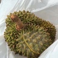 ทุเรียน 39 บาท
