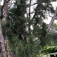 บรรยากาศ สวนธนบุรีรมย์