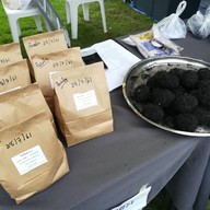 ถนนคนเดินหน้าวัดภูมินทร์