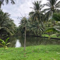 บรรยากาศ สวนธนบุรีรมย์