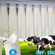 เมนูของร้าน นมสด พระราม2 Deep Milk Product