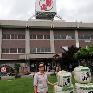 Otokoyama Sake & Brewery Museum