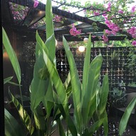 NIKKO CAFE เอกมัย