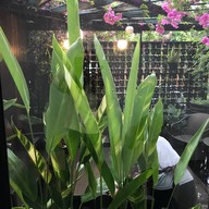 NIKKO CAFE เอกมัย