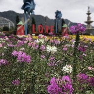 The BLOOM 360•