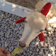 บรรยากาศ ฮักยู