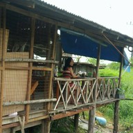บรรยากาศ ป้าตามสั่ง