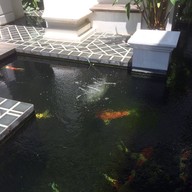 Zira Spa