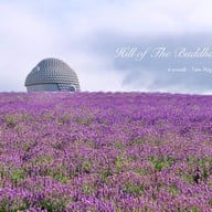 Hill of the Buddha