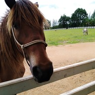 ธาราโชติ ไรดิ้ง