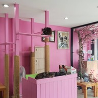 บรรยากาศ Fat Cat Cafe Club