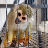 บรรยากาศ Little Zoo Cafe