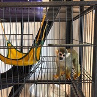 บรรยากาศ Little Zoo Cafe