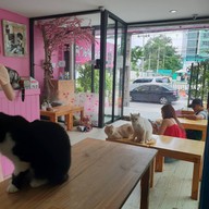 บรรยากาศ Fat Cat Cafe Club