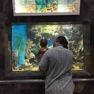 สถานแสดงพันธุ์สัตว์น้ำ จันทบุรี