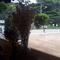 ทองพันใบกาแฟสด