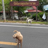 วัดไตรมุขชยาราม