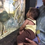 สถานแสดงพันธุ์สัตว์น้ำ จันทบุรี