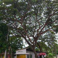 วัดไตรมุขชยาราม