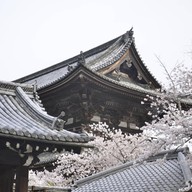 บรรยากาศ Ninnaji Temple