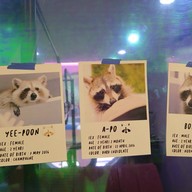 POOLTIME CAFE เอกมัย