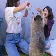 POOLTIME CAFE เอกมัย