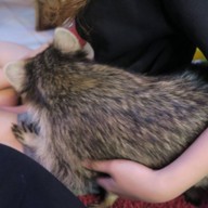 POOLTIME CAFE เอกมัย