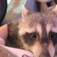 POOLTIME CAFE เอกมัย