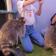 POOLTIME CAFE เอกมัย