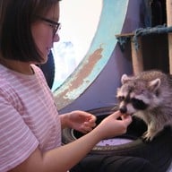 POOLTIME CAFE เอกมัย