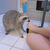 POOLTIME CAFE เอกมัย